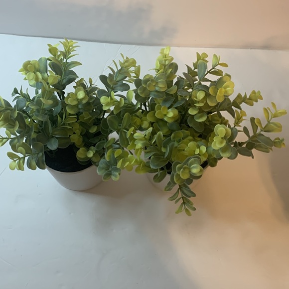 Greenery Two Green Scrub Fake plants really nice New - Picture 3 of 4